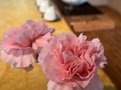 -青竺·青竹茶舍(断桥店)