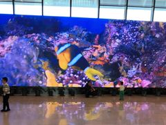 -贝林大翅鲸简餐厅(国家海洋博物馆店)