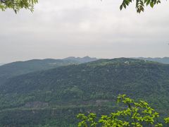 -铁山坪森林公园