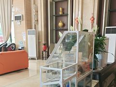 -清水湾酒店(深圳横岗塘坑地铁站店)