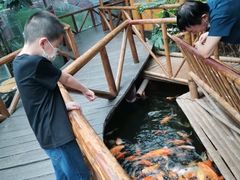 -上海大自然野生昆虫馆(东方明珠·爬宠昆虫探索中心)