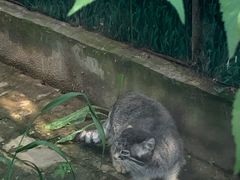 -青藏高原野生动物园