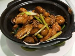 板栗鸡煲-东江海辉酒楼·公司团建·商务宴请·生日宴(宝安店)