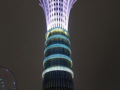 -星城之眼摩天轮