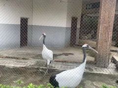 -南昌动物园
