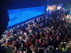 -烟台海昌鲸鲨海洋公园