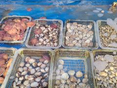 -海帮主·蒸汽海鲜青岛菜(栈桥火车站店)