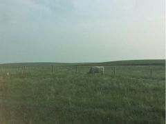 iphone_upload_pic-木兰围场