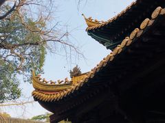 -普陀山风景名胜区-法雨禅寺
