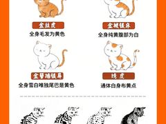 -lincat·猫舍(广州店)