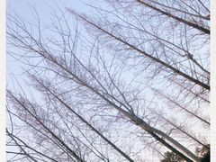 -东方绿舟景区