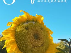 -北京奥林匹克公园