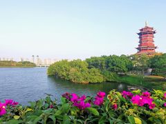 -厦门园林博览苑