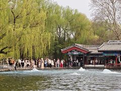 -百脉泉景区