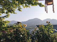 -马灯部落·西湖边的创意山景餐厅(虎跑动物园店)