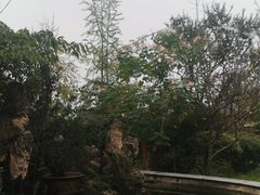 -九尺赵老四鲜鹅肠火锅