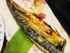 -桥岚·巷子鲜河豚鱼(专门店)