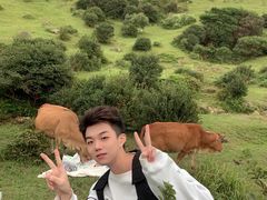 -大姆山草场