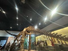 -衢州市博物馆