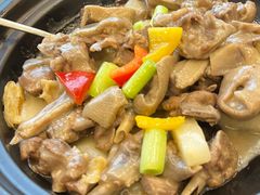 -枫盈轩中餐厅(枫丹白鹭酒店)