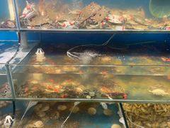 -仙螺岛海鲜自助餐厅(总店)