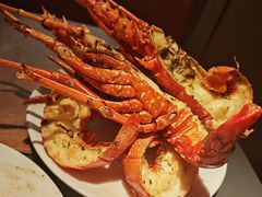 -拉蒂娜·巴西牛排馆 Latina·Brazilian Steakhouse(王府井喜悦店)