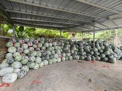 -红旗山庄(圭峰山店)