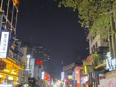 -黑色经典臭豆腐·湖南特产(太平街口店)