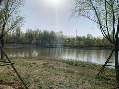 -东郊湿地公园