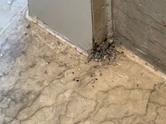 -西昌邛海宾馆