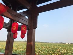 -天津东丽湖风景区