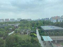 -上海浦东康桥绿地假日酒店
