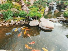 -罗红摄影艺术馆