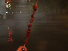 -雅安楠水阁温泉酒店