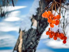 -沈阳职业技术学院