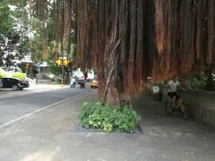 -闽江夜游台江旅游码头