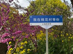 -南汇桃花村