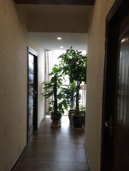 -源素美容养生会所