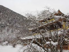 -黄龙山原始森林景区