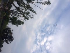 iphone_upload_pic-上海玫瑰园度假酒店