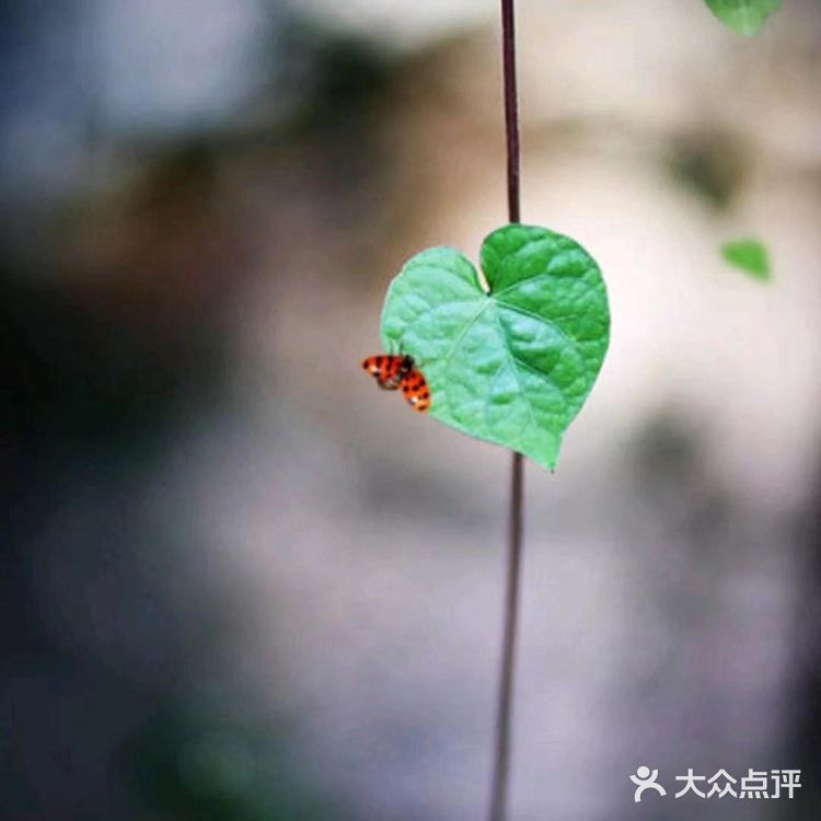 太阳出来罗儿 喜洋洋欧🌅🌅🌅