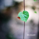 太阳出来罗儿 喜洋洋欧🌅🌅🌅