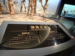 -大庆市博物馆