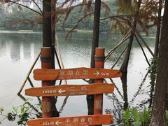 -重庆彩云湖湿地公园