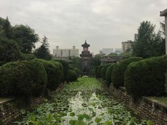 -四川大学(望江校区)