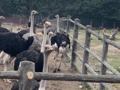 -西安秦岭野生动物园