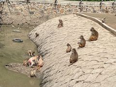 -哈尔滨北方森林动物园