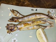 -桃屋日本料理(清华科技园店)