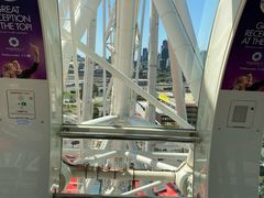 -墨尔本之星 观景摩天轮