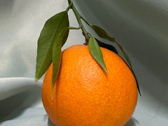 -哈工大一校区食堂